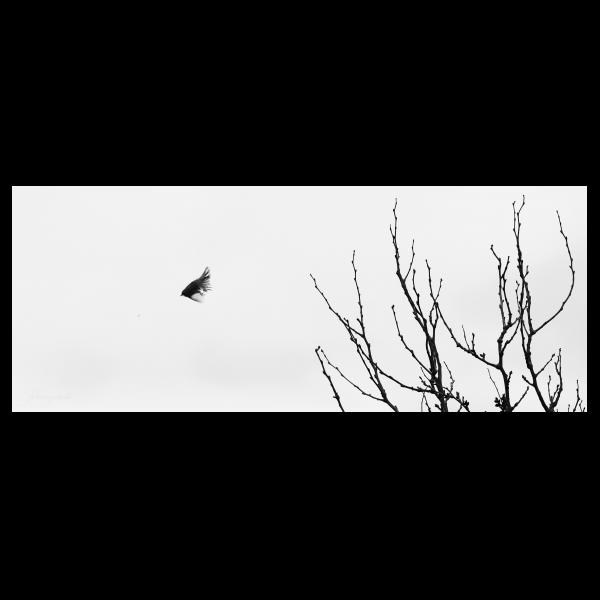 PHOTO84, CLUB, 84 , LUBERON